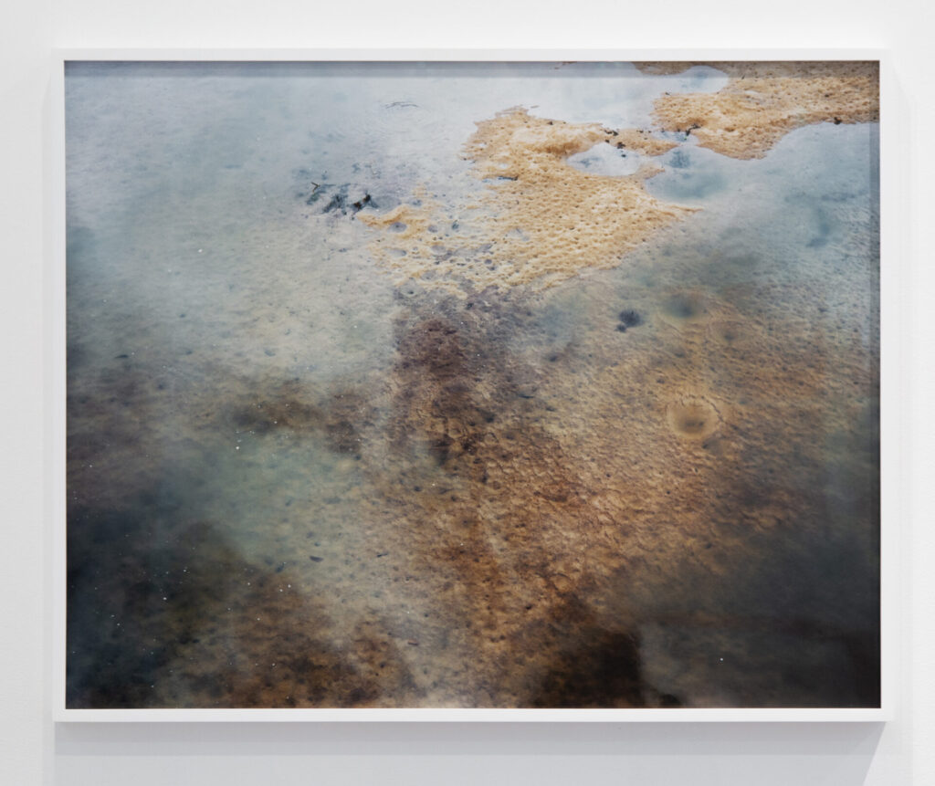 A somewhat abstract photograph of the surface of murky water.