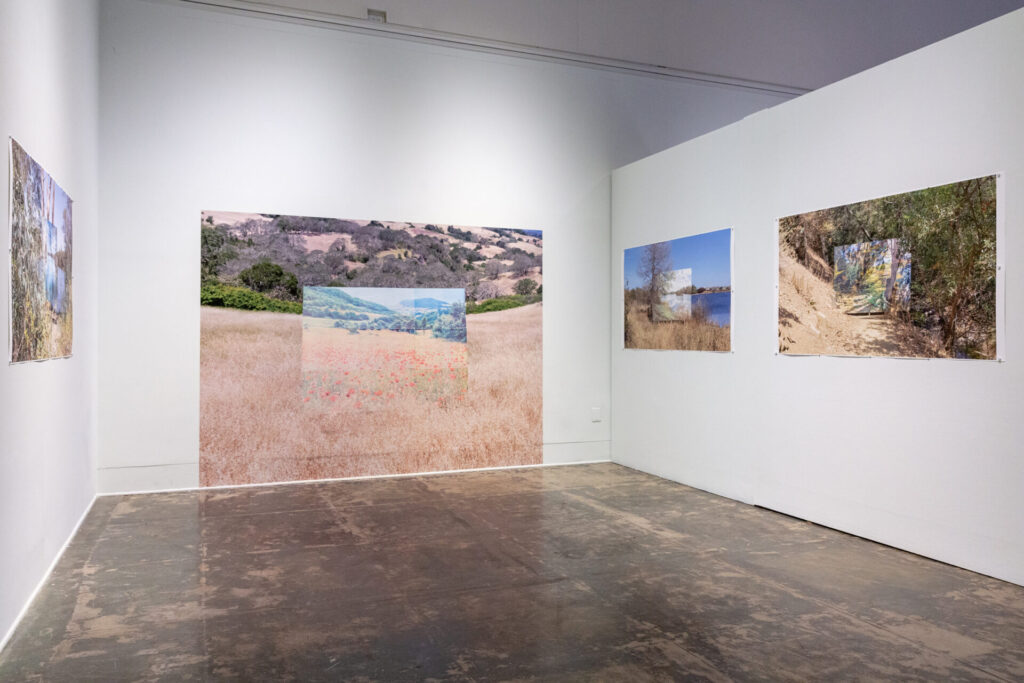 Photographs exhibited in a white walled gallery