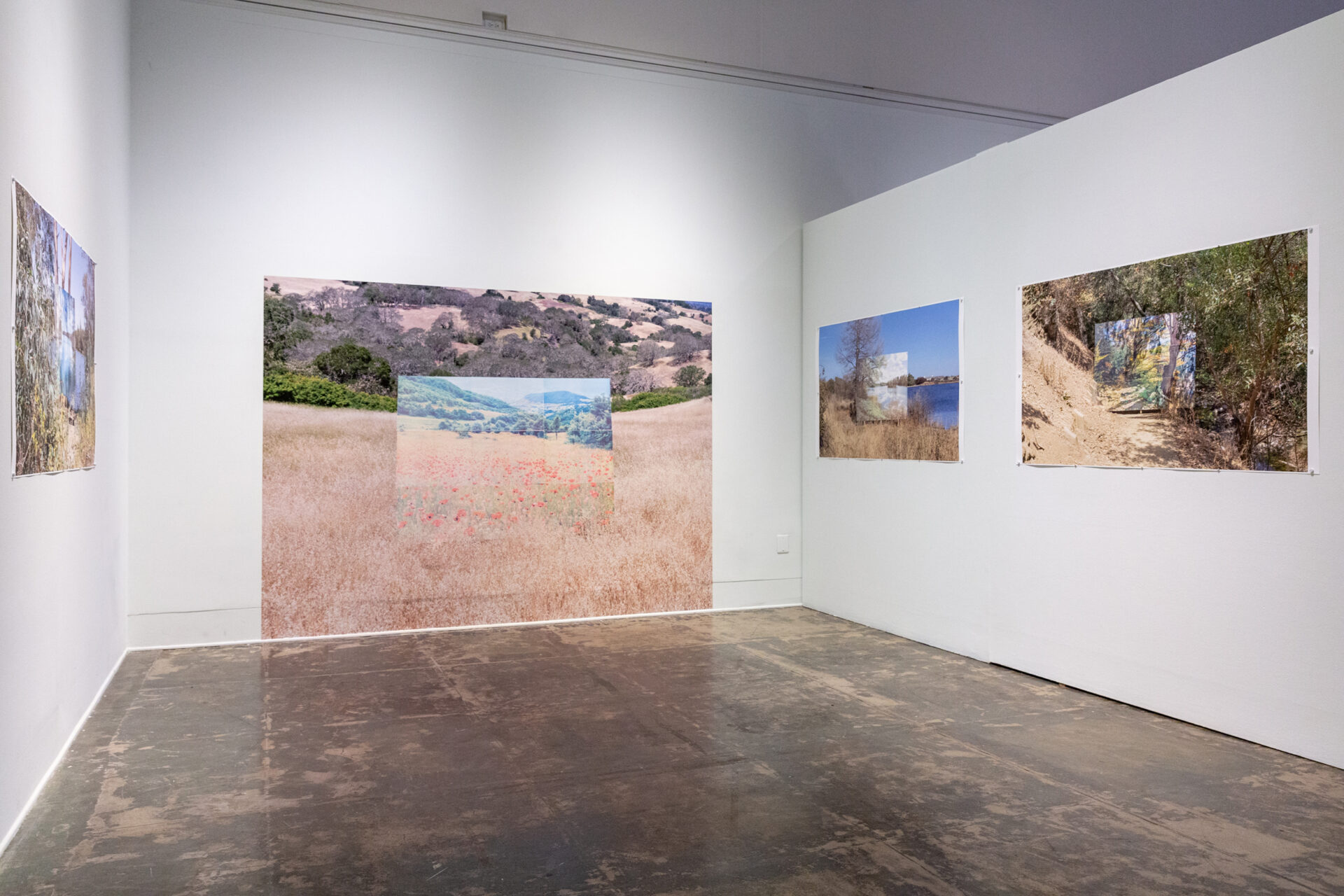Photographs exhibited in a white walled gallery