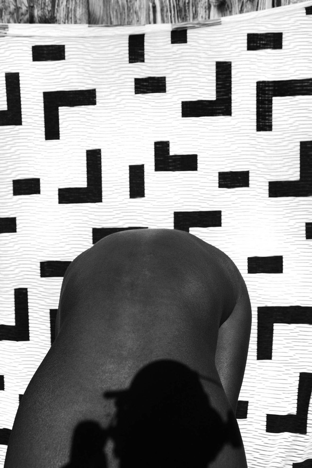 Within Between Corpus (18) 2022 pigment print